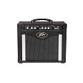 Peavey Rage 258E